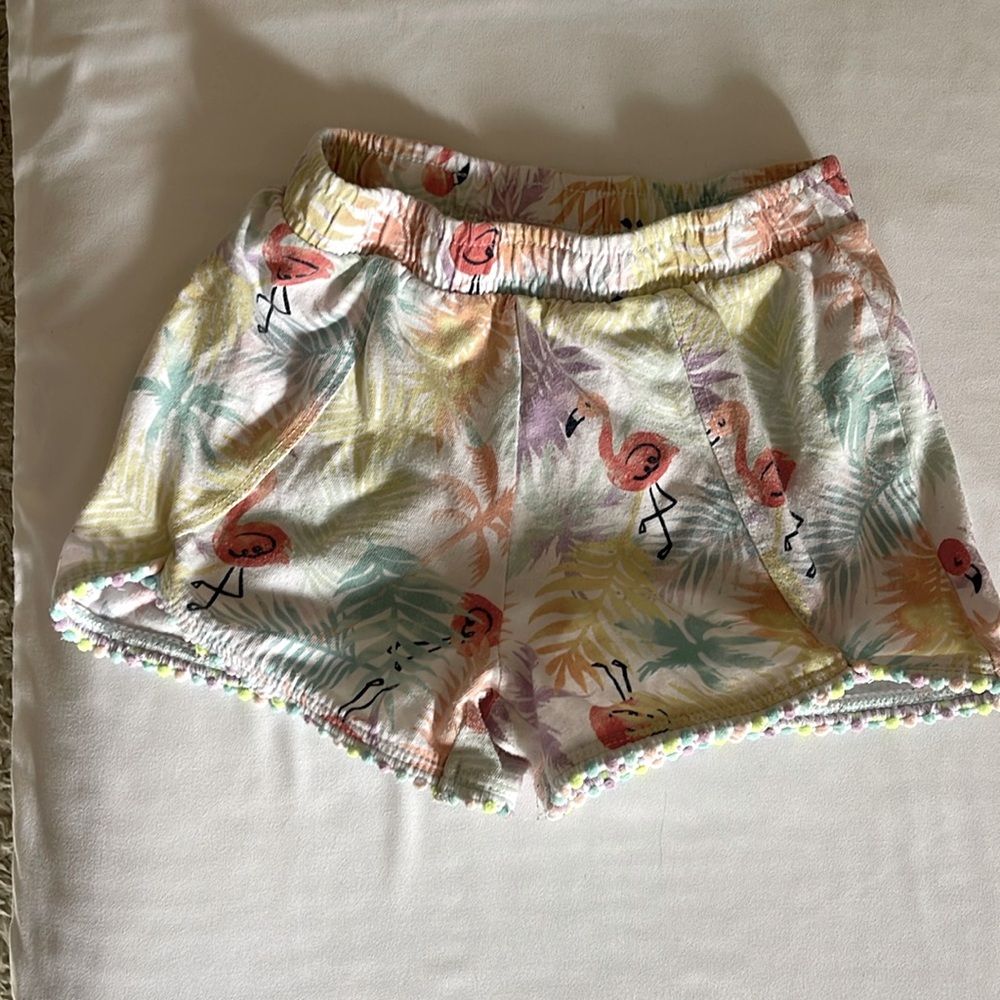 Toughskins Shorts Size L 6/6X